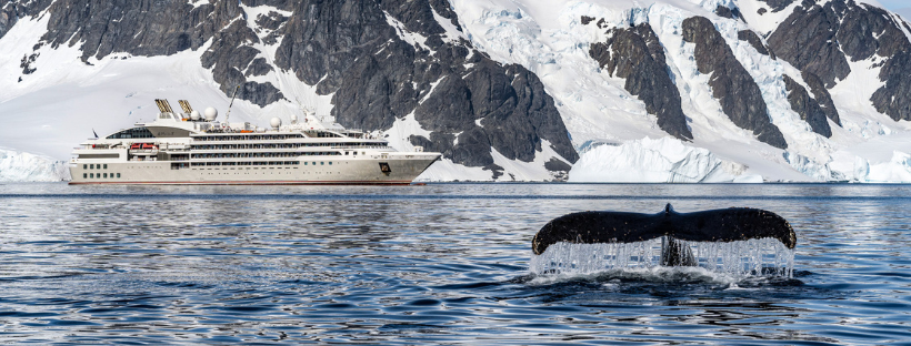 Lyrial en expédition pour voir les baleines